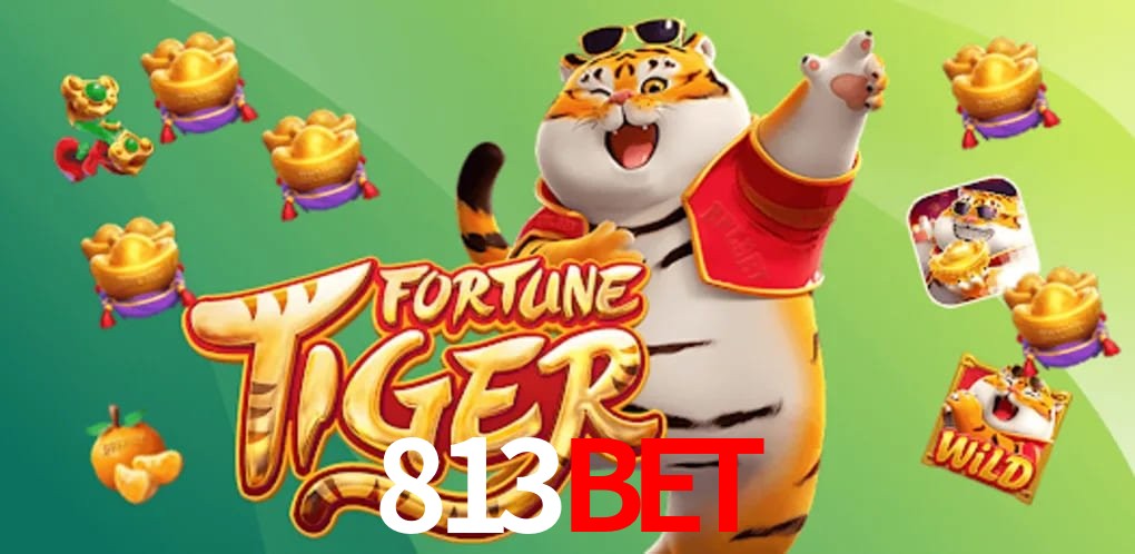 Experiência VIP 813bet